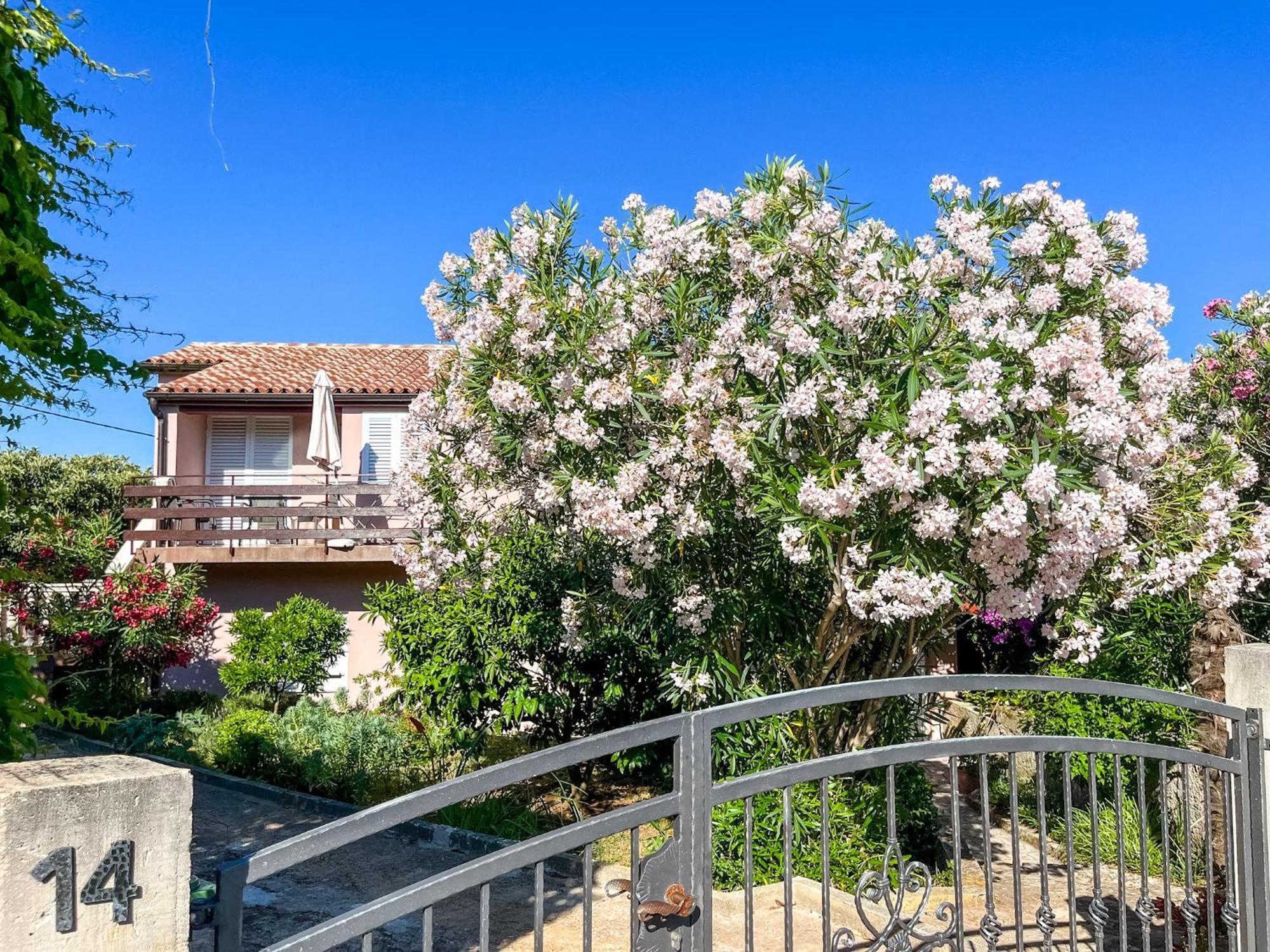 באניולה Apartment Lidija מראה חיצוני תמונה